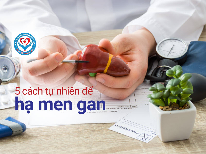 Men gan cao nguy hiểm không? ảnh hưởng thế nào? men-gan-cao-co-nguy-hiem-khong-2