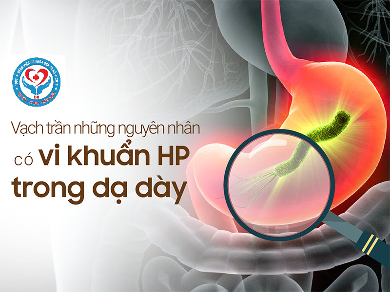 nguyen-ngan-gay-benh-viem-da-day-hp