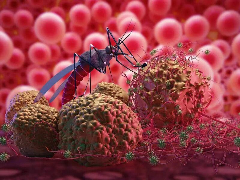 nguyen-nhan-trieu-chung-cua-benh-sot-xuat-huyet