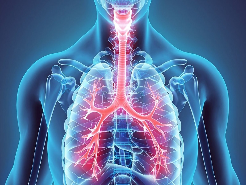 benh-phoi-tac-nghen-man-tinh-copd-la-gi