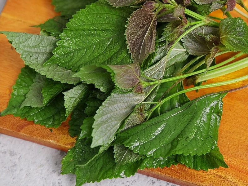 nguoi-nao-khong-nen-uong-nuoc-la-tia-to