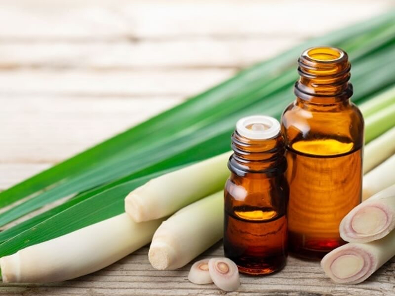 tac-dung-cua-sa-chanh-doi-voi-suc-khoe