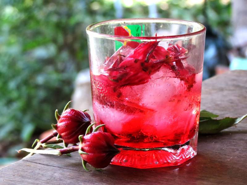 tac-dung-cua-atiso-doi-voi-suc-khoe