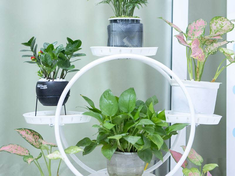 trao-giai-cuoc-thi-xanh-sach-dep-2025-tai-bvdk-nga-tu-ho-7