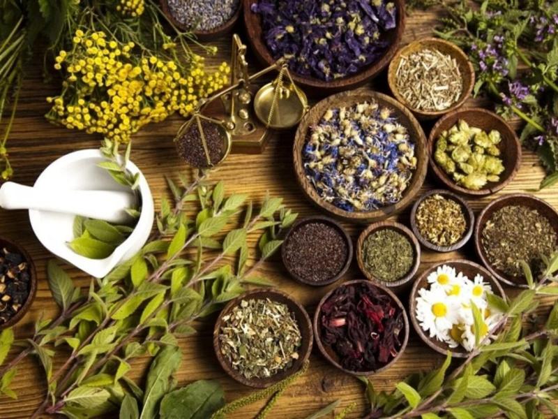 Thảo dược là gì? Vai trò của thảo dược trong y học cổ truyền và hiện đại ung-dung-cua-cac-loai-thao-duoc-doi-voi-suc-khoe-con-nguoi