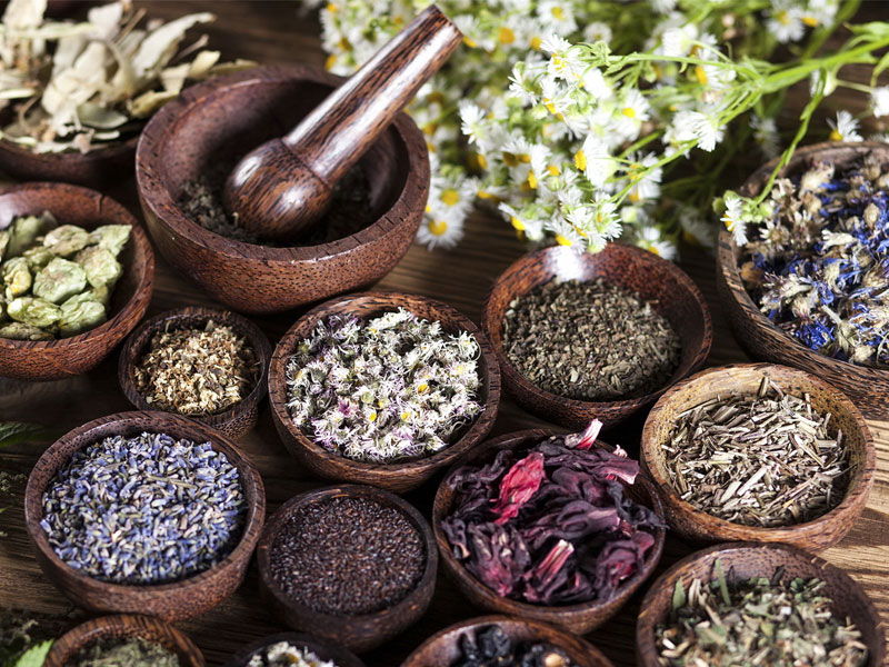 Thảo dược là gì? Vai trò của thảo dược trong y học cổ truyền và hiện đại vai-tro-cua-thao-duoc-trong-y-hoc-co-truyen
