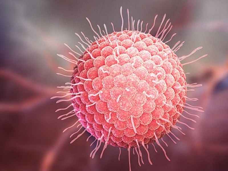 Bệnh thủy đậu và cách điều trị bệnh thủy đậu nhanh chóng hiệu quả benh-thuy-dau-la-gi