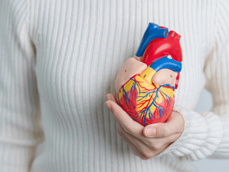 Tầm soát bệnh lý tim mạch – Chìa khóa bảo vệ trái tim khỏe mạnh dia-chi-tam-soat-benh-ly-tim-mach-tai-bac-ninh