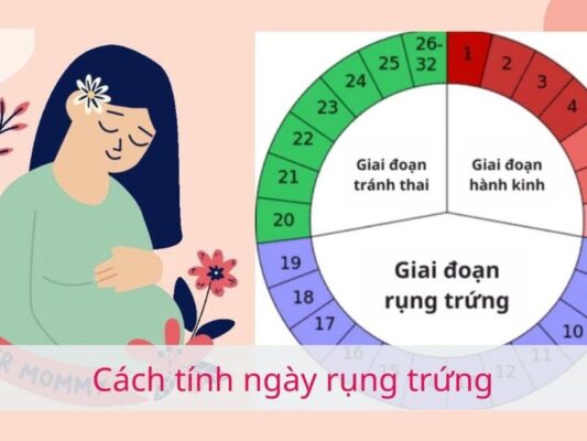 cach-tinh-ngay-rung-trung-de-tranh-thai-tu-nhien-2