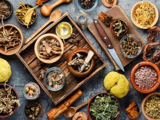 tong-hop-cac-loai-la-cay-thao-moc-thao-duoc-tot-cho-suc-khoe-con-nguoi