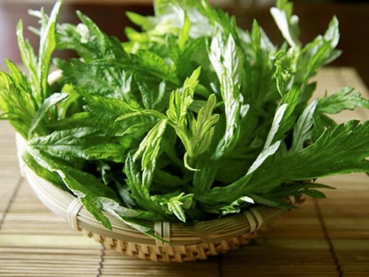 vi-thuoc-ngai-cuu-co-tac-dung-gi