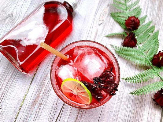 cach-su-dung-atiso-hieu-qua