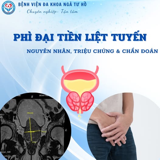 phi dai tien liet tuyen
